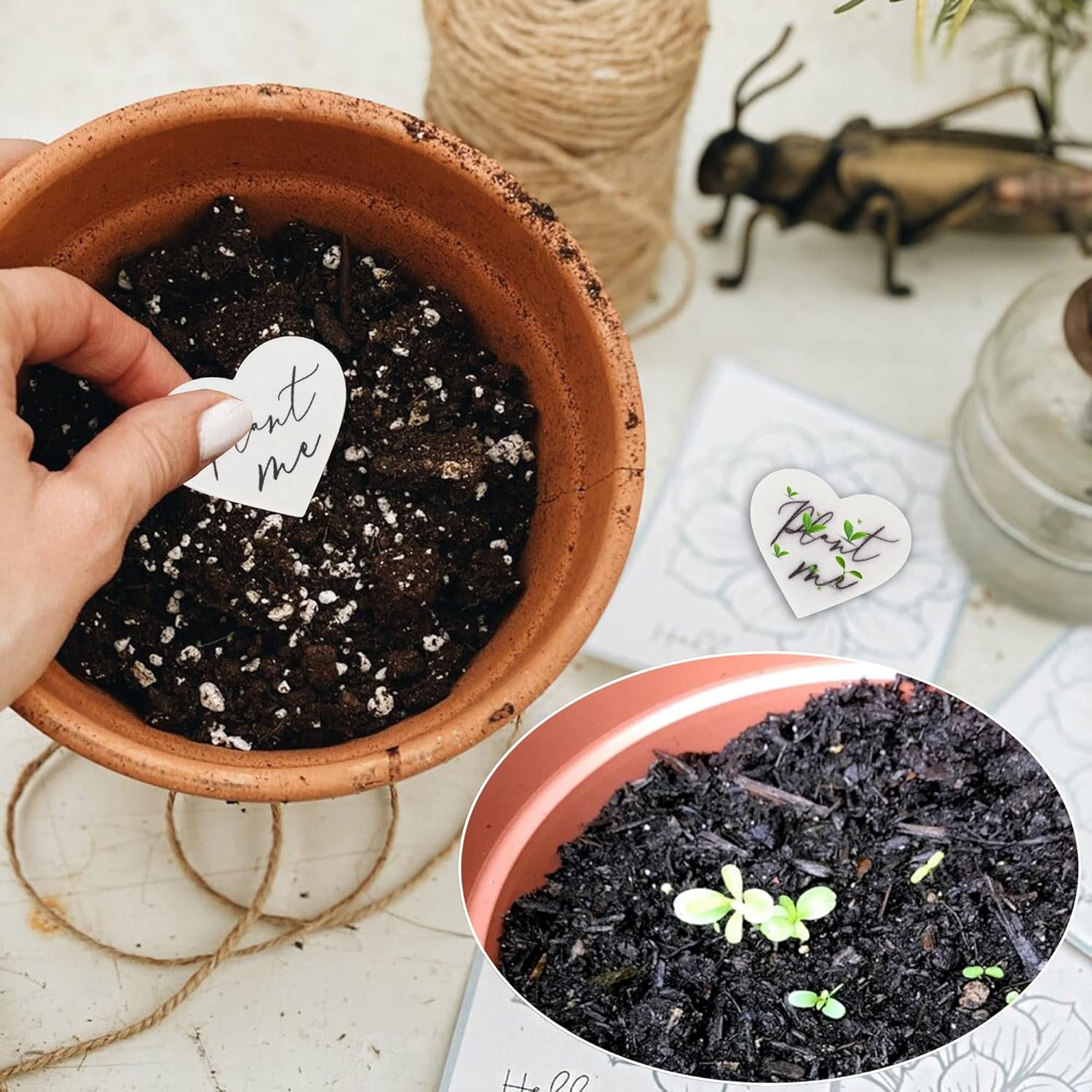 Wholesale Heart Shaped Plantable Wildflower Growing Paper Packets Wedding Party Bridal Shower Funeral Memorial Favors No Cards Set of 50 Supplier