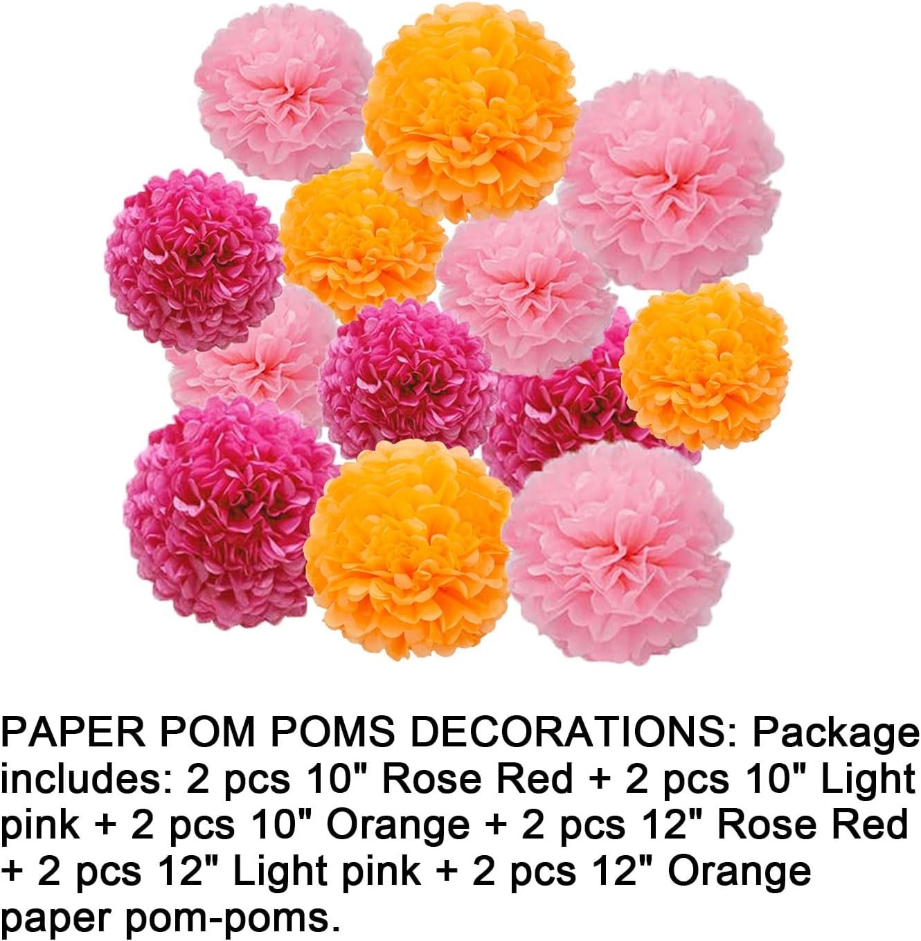 Wholesale 12pcs Rose Red Light Pink Orange Paper Pom Poms Party Ceiling Wall Hanging Tissue Flowers 3 Colors 12 Inch 10 Inch Supplier