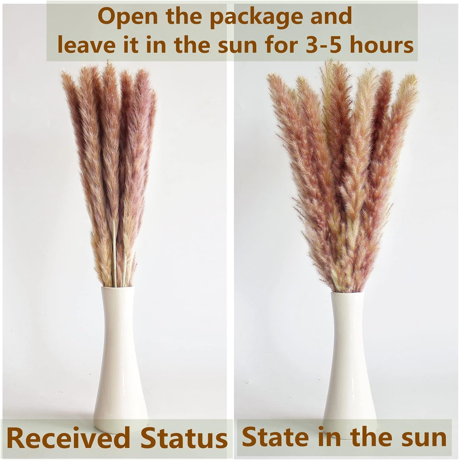 Wholesale 110 PCS Naturally Dried Boho Pampas Grass Bunny Tails Flowers Eucalyptus Wedding Boho Party Table Decor Supplier Wholesale 110 PCS Naturally Dried Boho Pampas Grass Bunny Tails Flowers Eucalyptus Wedding Boho Party Table Decor Supplier