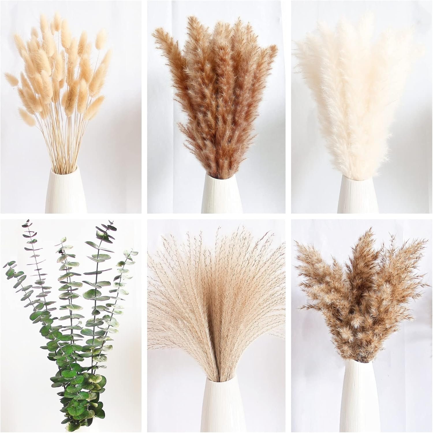 Wholesale 110 PCS Naturally Dried Boho Pampas Grass Bunny Tails Flowers Eucalyptus Wedding Boho Party Table Decor Supplier Wholesale 110 PCS Naturally Dried Boho Pampas Grass Bunny Tails Flowers Eucalyptus Wedding Boho Party Table Decor Supplier