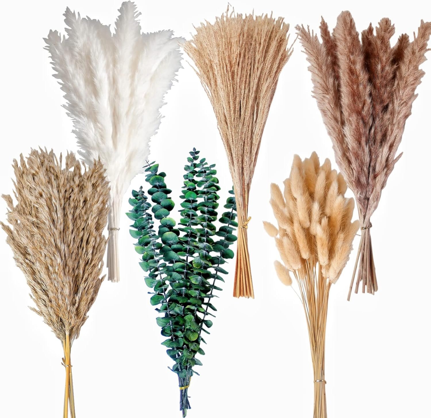 Wholesale 110 PCS Naturally Dried Boho Pampas Grass Bunny Tails Flowers Eucalyptus Wedding Boho Party Table Decor Supplier Wholesale 110 PCS Naturally Dried Boho Pampas Grass Bunny Tails Flowers Eucalyptus Wedding Boho Party Table Decor Supplier