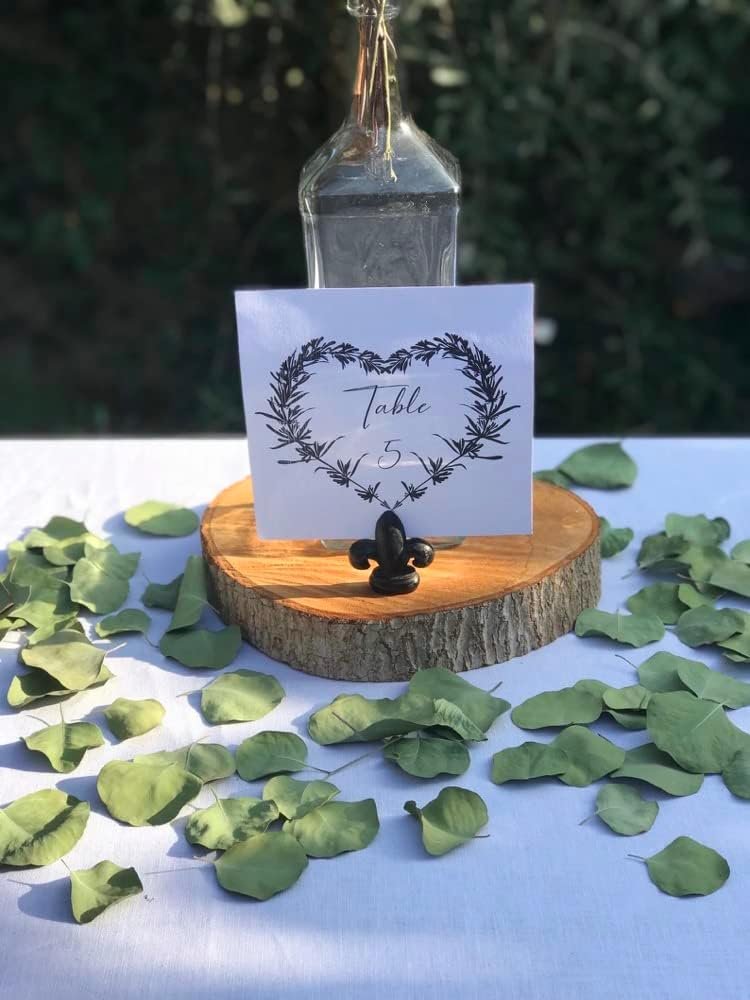 Wholesale 300+ Pcs Dried Preserved Silver Dollar Eucalyptus Leaves Rustic Boho Wedding Table Decor 100% Natural Biodegradable Confetti for DIY Baby Shower Cake Supplier