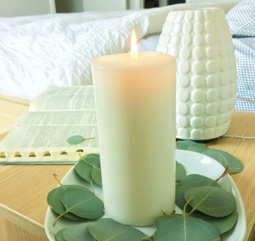 Wholesale 300+ Pcs Dried Preserved Silver Dollar Eucalyptus Leaves Rustic Boho Wedding Table Decor 100% Natural Biodegradable Confetti for DIY Baby Shower Cake Supplier