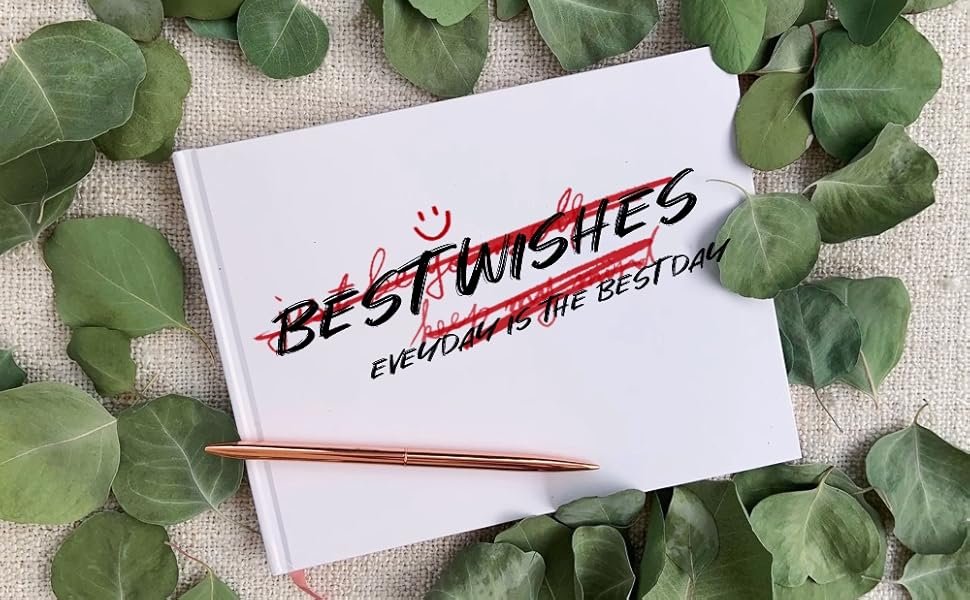 Wholesale 300+ Pcs Dried Preserved Silver Dollar Eucalyptus Leaves Rustic Boho Wedding Table Decor 100% Natural Biodegradable Confetti for DIY Baby Shower Cake Supplier