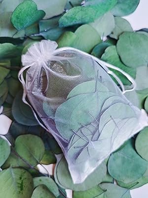 Wholesale 300+ Pcs Dried Preserved Silver Dollar Eucalyptus Leaves Rustic Boho Wedding Table Decor 100% Natural Biodegradable Confetti for DIY Baby Shower Cake Supplier