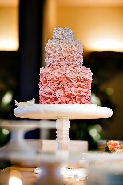 Cole Drake Review: Elevating California Weddings to Unmatched Excellence