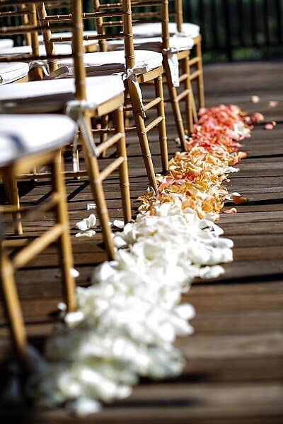 Cole Drake Review: Elevating California Weddings to Unmatched Excellence