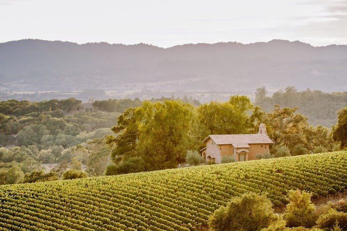 Cole Drake Review: Elevating California Weddings to Unmatched Excellence