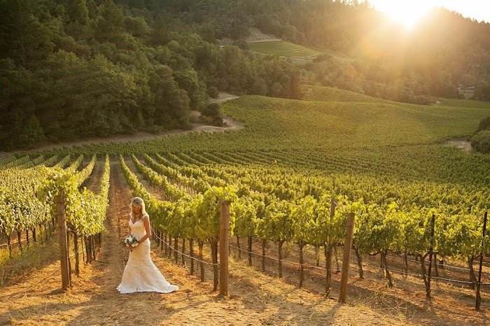 Cole Drake Review: Elevating California Weddings to Unmatched Excellence