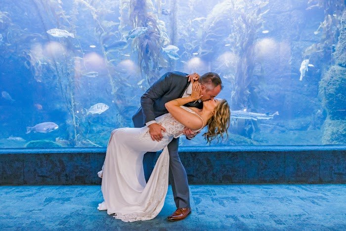 Willmus Weddings Review: San Diego's Elite Wedding Planner in Sorrento Valley Uncovered Willmus Weddings Review: San Diego's Elite Wedding Planner in Sorrento Valley Uncovered