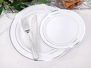 Wholesale 600pcs Silver Plastic Dinnerware Set for 100 Guests 100 Dinner Plates 100 Salad Plates 200 Forks 100 Spoons 100 Knives for Parties Weddings Supplier