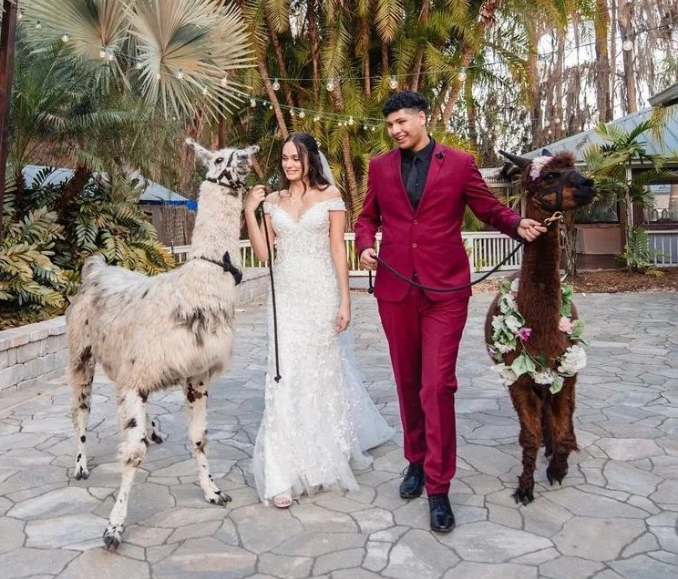 Is P.S. I Love You Weddings & Events Lake Mary's Top Wedding Planner? Honest Review